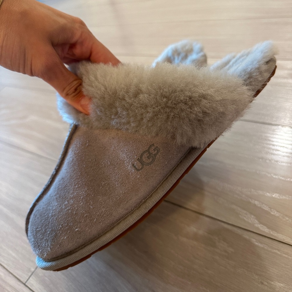 UGG scuffette light grey slipper